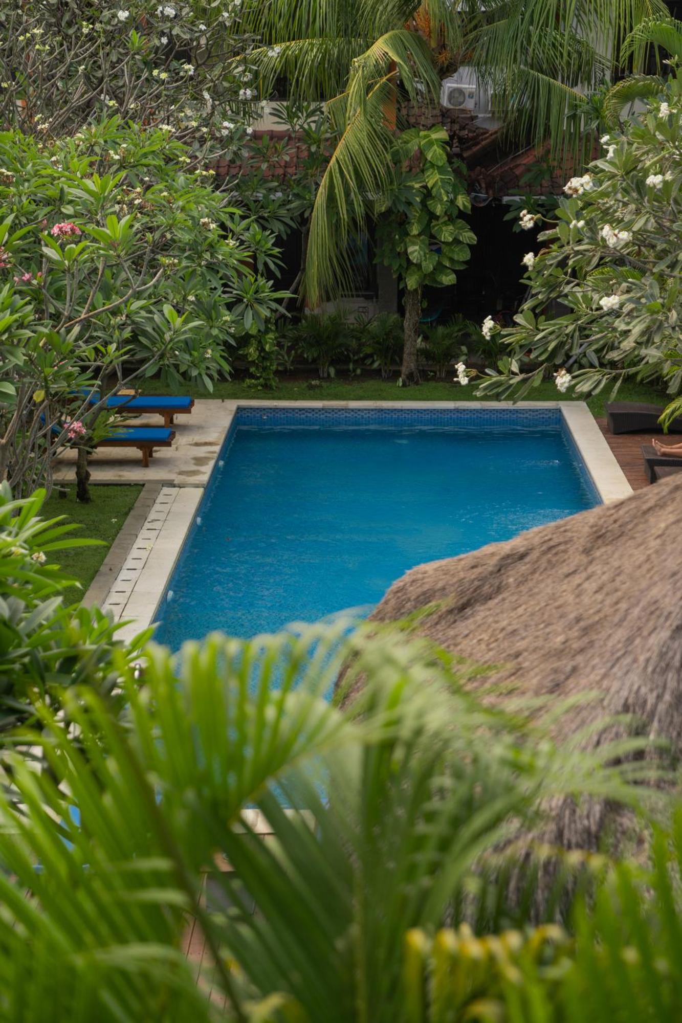Easy Surf Camp Hotel Kuta Lombok Kültér fotó